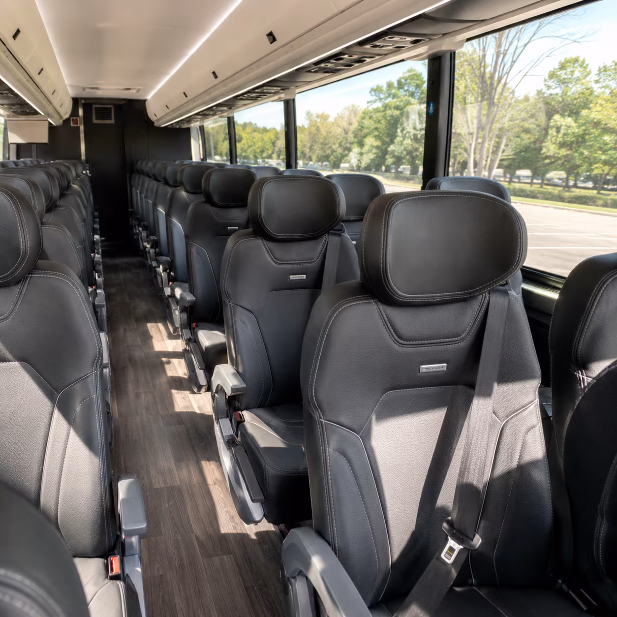 El Paso School Event Transportation party bus exterior
