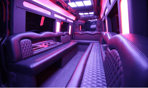 El Paso 14 Passenger Sprinter Bus Interior